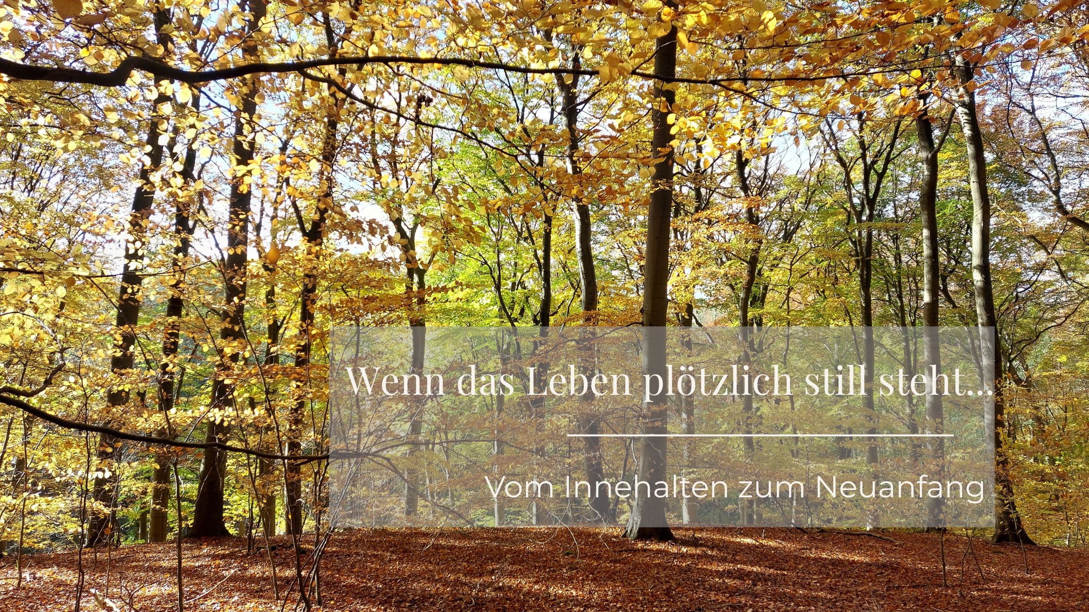 Was tun, wenn das Leben stillsteht?