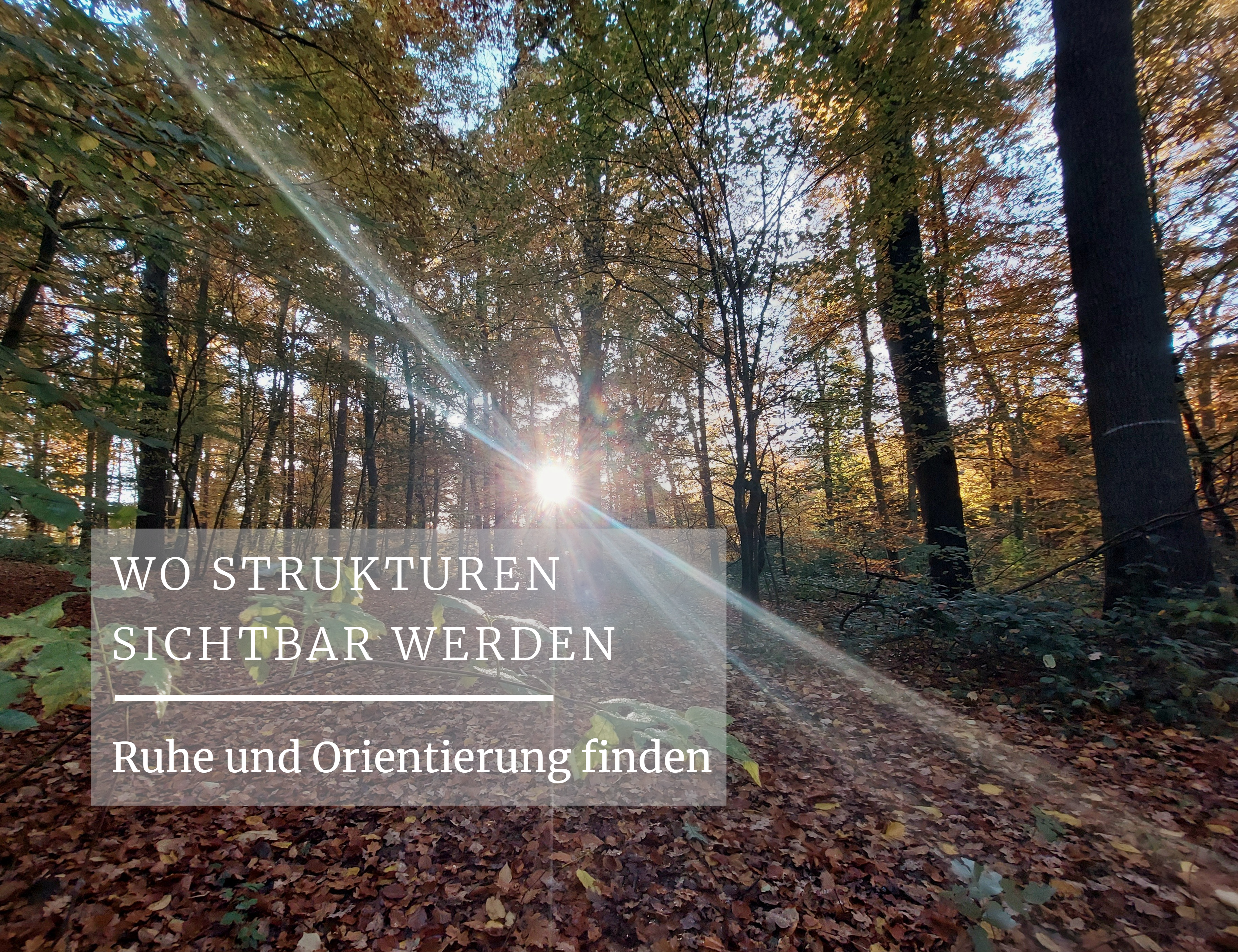 Weniger an dir arbeiten. Mehr klare Strukturen und Entscheidungen klären.