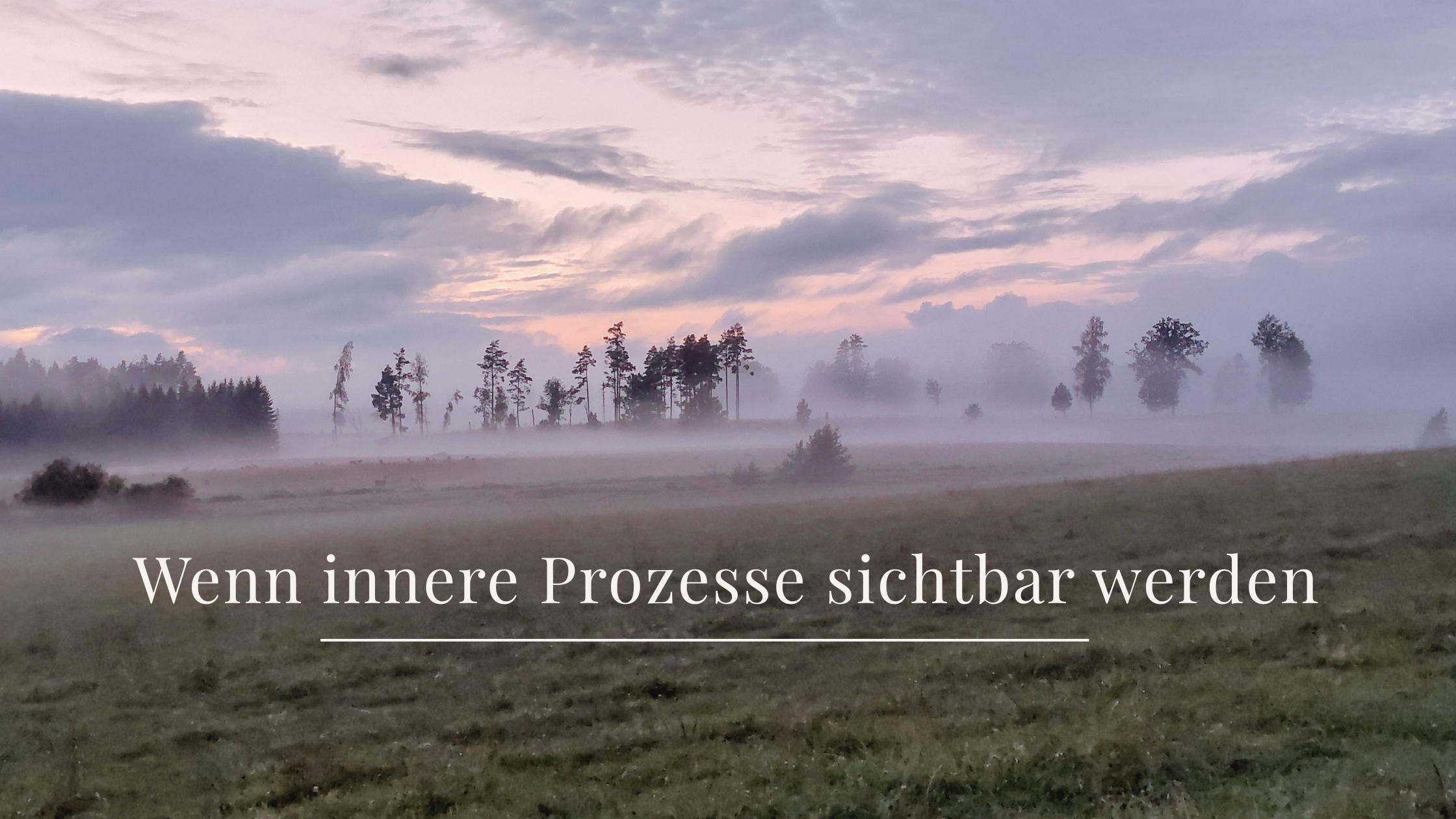 Stille Natur als Symbol für innere Klarheit und Verantwortung erkennen