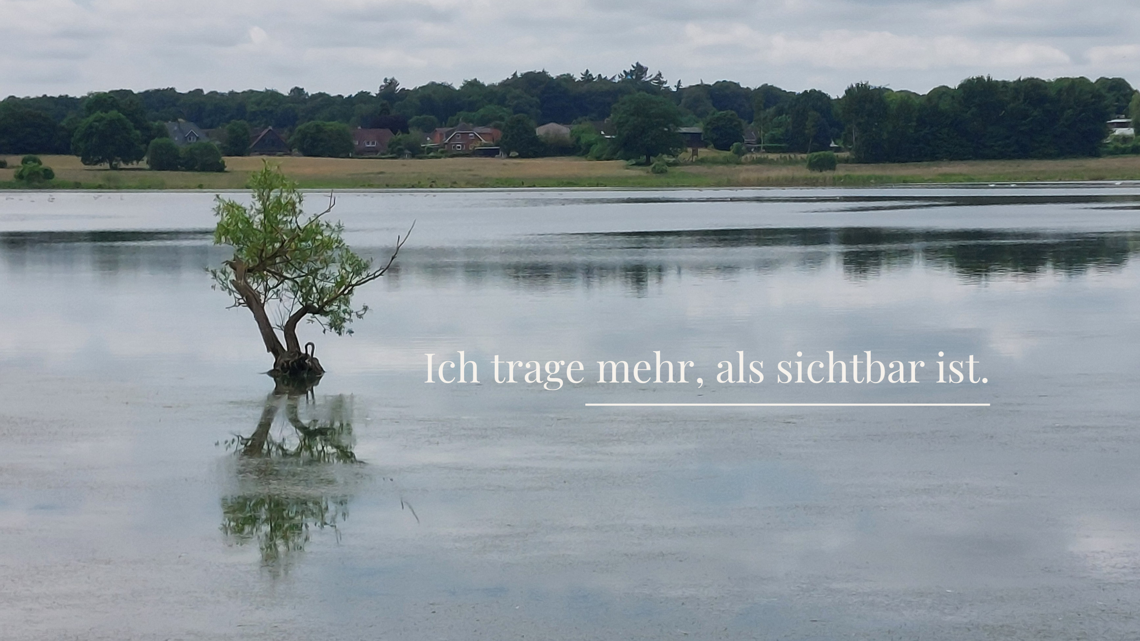 Ein einzelner Baum steht im ruhigen See und spiegelt sich im Wasser – Symbol für zu viel Verantwortung übernehmen und innere Last