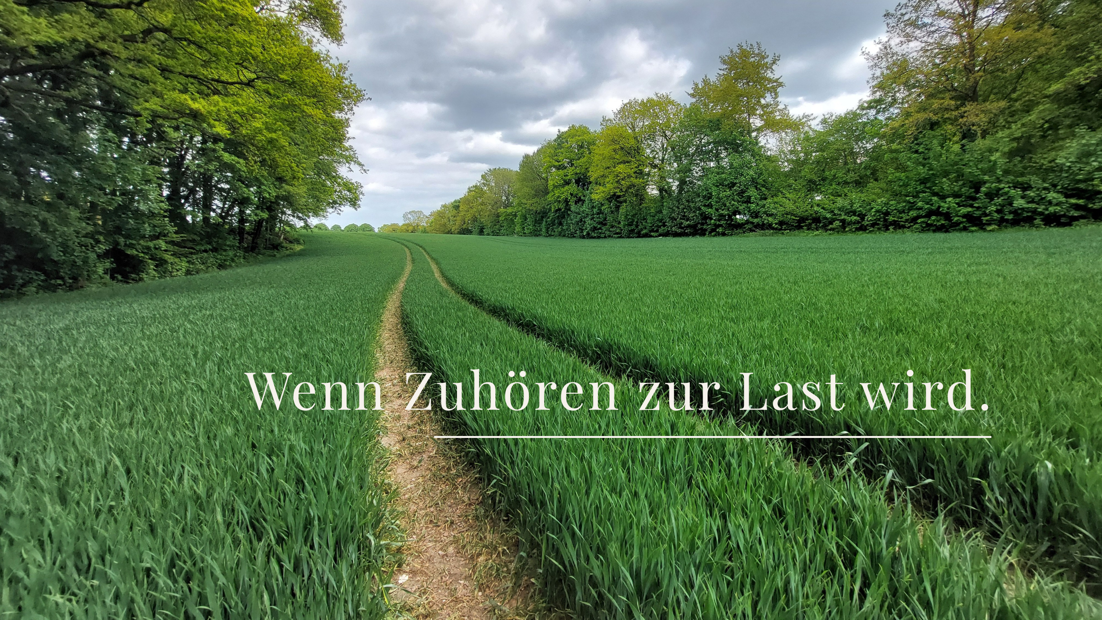 „Schmaler Weg durch ein ruhiges Feld in weiter Natur, Symbol für innere Orientierung und Verantwortung.“